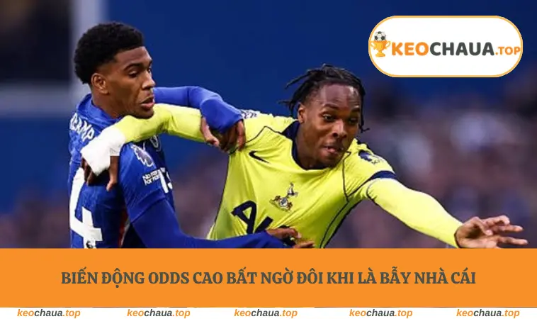 Biến động odds cao bất ngờ đôi khi là bẫy nhà cái