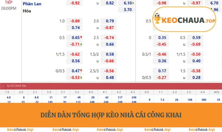 Diễn đàn tổng hợp kèo nhà cái công khai