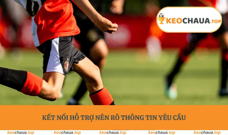 Kết nối hỗ trợ nên rõ thông tin yêu cầu