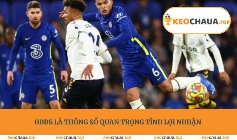 Odds là thông số quan trọng tình lợi nhuận kèo