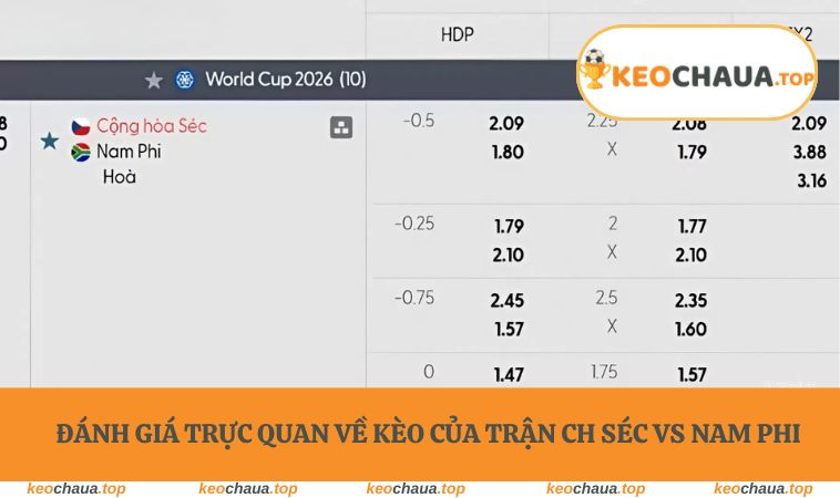 Đánh giá trực quan về kèo của trận CH Séc vs Nam Phi