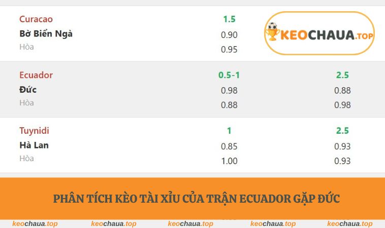 Phân tích kèo tài xỉu của trận Ecuador gặp Đức
