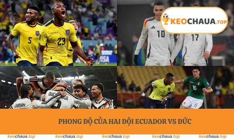 Phong độ của hai đội Ecuador vs Đức