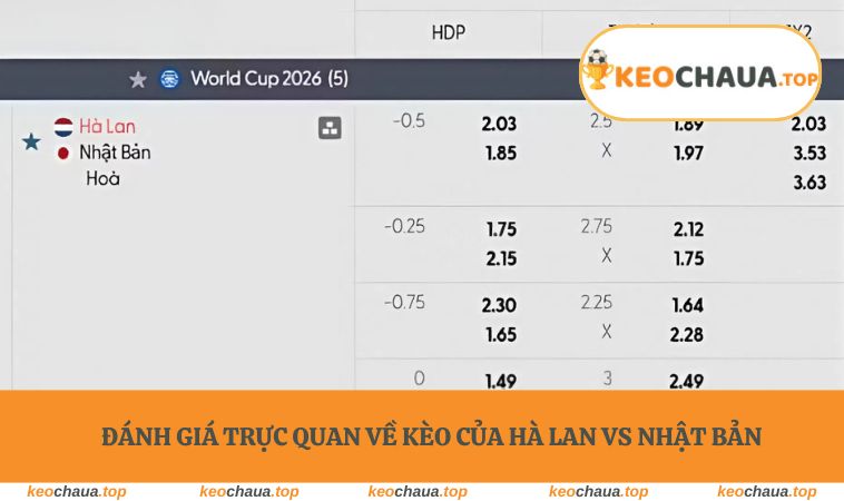 Đánh giá trực quan về kèo của Hà Lan vs Nhật Bản