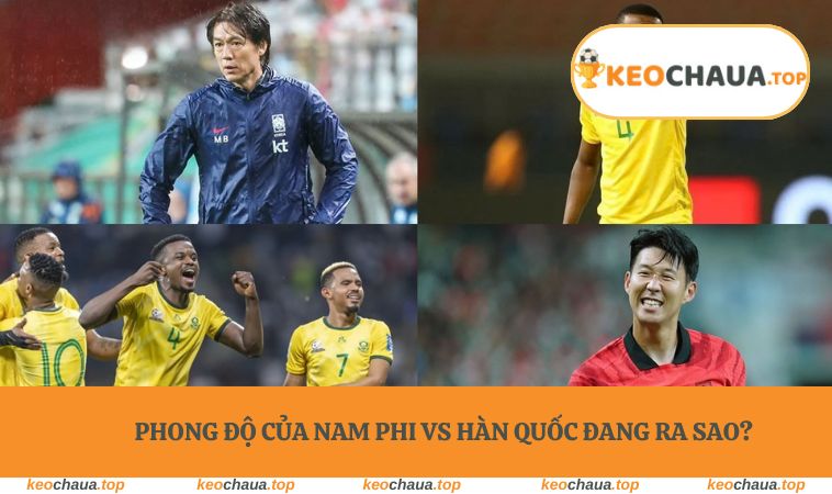 Phong độ của Nam Phi vs Hàn Quốc đang ra sao?