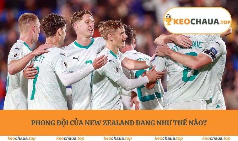 Phong đội của New Zealand đang như thế nào?