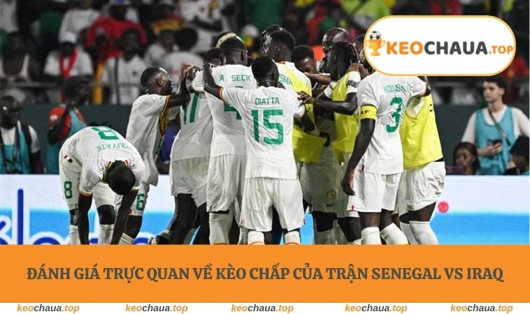 Đánh giá trực quan về kèo chấp của trận Senegal vs Iraq