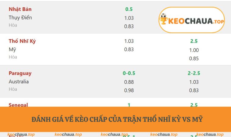 Đánh giá về kèo chấp của trận Thổ Nhĩ Kỳ vs Mỹ 