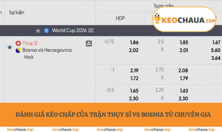 Đánh giá kèo chấp của trận Thụy Sĩ vs Bosnia từ chuyên gia