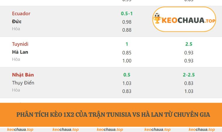 Phân tích kèo 1x2 của trận  Tunisia vs Hà Lan từ chuyên gia