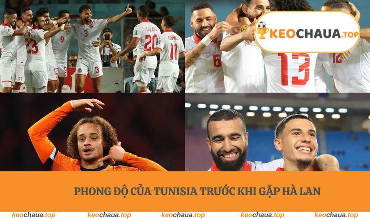 Phong độ của Tunisia trước khi gặp Hà Lan