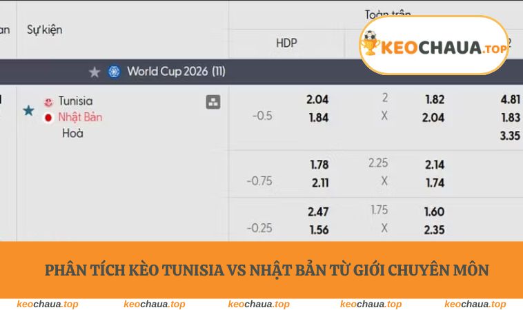 Phân tích kèo Tunisia vs Nhật Bản từ giới chuyên môn