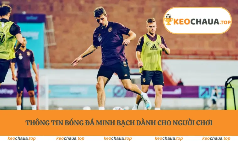 Thông tin bóng đá minh bạch dành cho người chơi