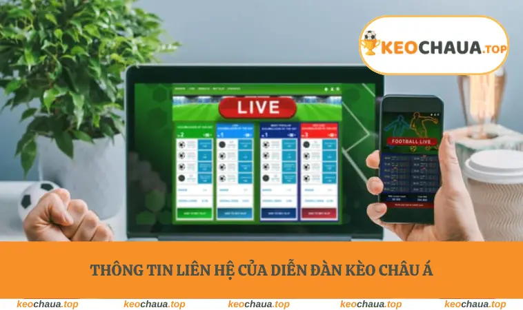Thông tin liên hệ của diễn đàn Kèo Châu Á