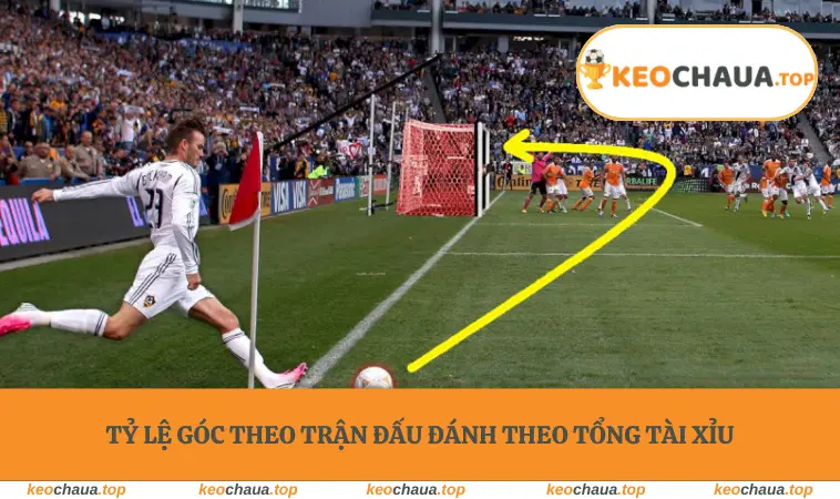  Tỷ lệ góc theo trận đấu đánh theo tổng tài xỉu